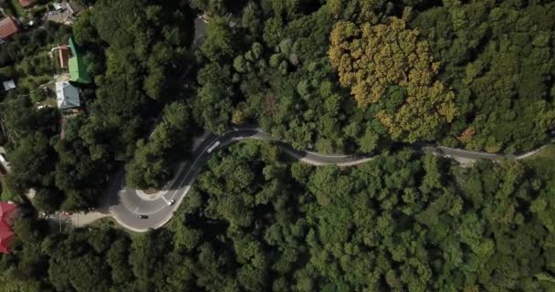 在俄罗斯索契的森林里 沿着蜿蜒的山路行驶的汽车的空中库存录像 路之旅 穿越美丽的乡村风光 — 图库视频影像