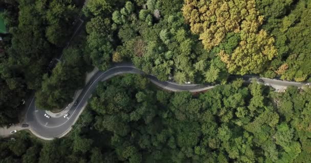 空中映像素材集のソチは ロシアの森林を通って曲がりくねった山道のパスに沿って運転している車 美しい田園風景の中の曲がりくねった道路の道路の旅をする人 — ストック動画