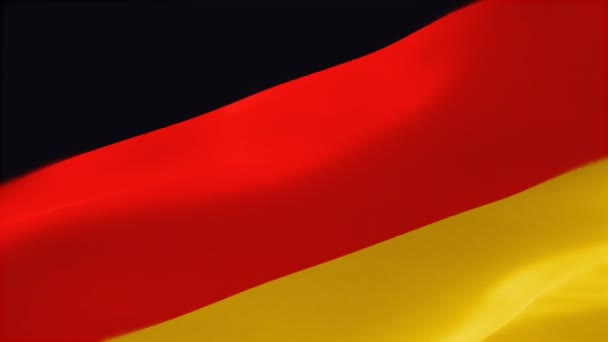 Highly Detailed Flag Germany — Stock Video