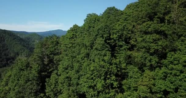 Luftaufnahmen Russischer Berge Und Wälder Menschen Die Russland Unterwegs Sind — Stockvideo