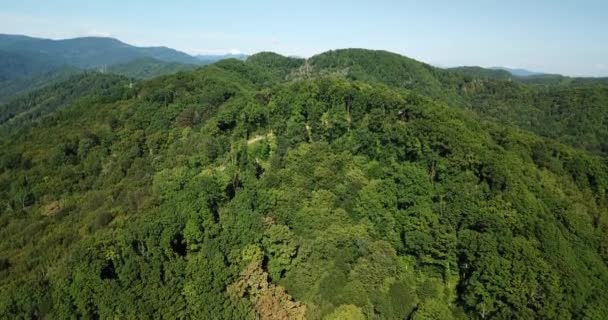 Imagens Estoque Aéreo Russo Montanha Floresta Pessoas Que Viajam Rússia — Vídeo de Stock