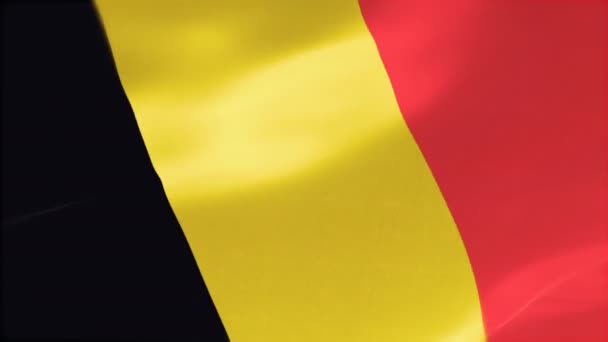 比利时高度详细的旗子 — 图库视频影像