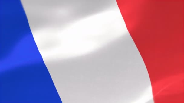 Bandera Altamente Detallada Francia — Vídeos de Stock