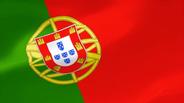 Ιδιαίτερα Λεπτομερή Σημαία Της Πορτογαλίας — Αρχείο Βίντεο