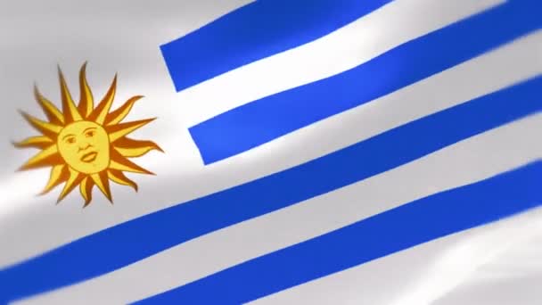 乌拉圭的高度详细的旗子 — 图库视频影像