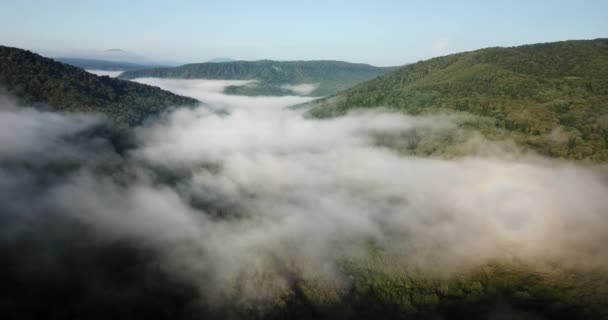 Επική Εναέρια Πτησησ Μέσα Από Σύννεφα Βουνό Πρωί Όμορφη Ανατολή — Αρχείο Βίντεο