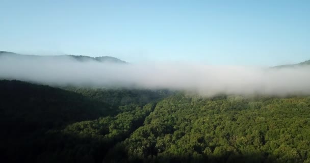 Voo Aéreo Épico Através Nuvens Montanha Nascer Sol Bela Manhã — Vídeo de Stock