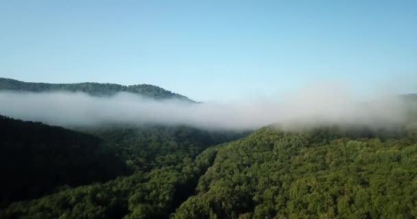 壮大な空中飛行 日の出の美しい朝山雲の切れ間から ピーク 心に強く訴える動機自然の背景 — ストック動画
