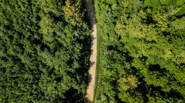 Vista Aérea Cima Para Baixo Das Montanhas Cáucaso Floresta Árvores — Fotografia de Stock