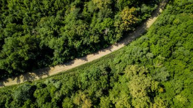 Hava üst aşağı görünümü, Kafkas Dağları orman ağaçları ve yol. Hemen üstüne dron görünümünden bir güneşli yaz gününde.