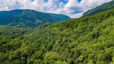 Aerial landscape of the Caucasus Mountains, forest, trees. Shot from drone. clipart