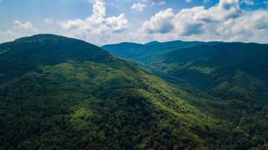 Hava manzara Kafkas Dağları, orman, ağaçlar. Drone vurdu.