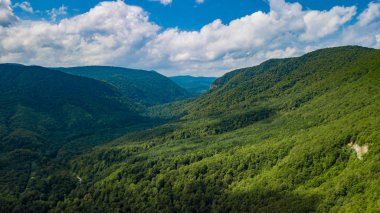 Hava manzara Kafkas Dağları, orman, ağaçlar. Drone vurdu.