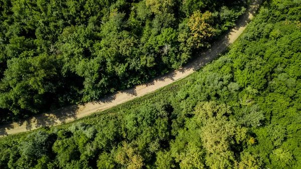 Aerial Top View Caucasus Mountains Forest Trees Road Directly View — Stock Photo, Image