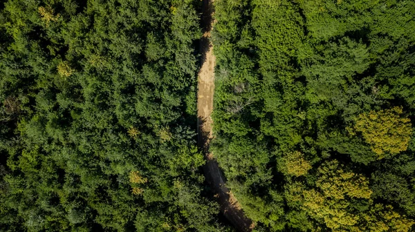 Vista Aérea Cima Para Baixo Das Montanhas Cáucaso Floresta Árvores — Fotografia de Stock