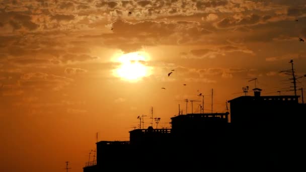 Timelapse Sol Vai Atrás Das Casas — Vídeo de Stock