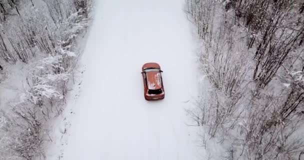 Vista aérea de uma floresta nevada e estrada com um carro no inverno . — Vídeo de Stock