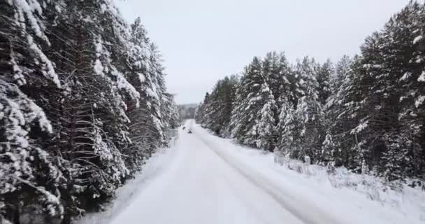 Voler au-dessus de la forêt recouvert de neige 