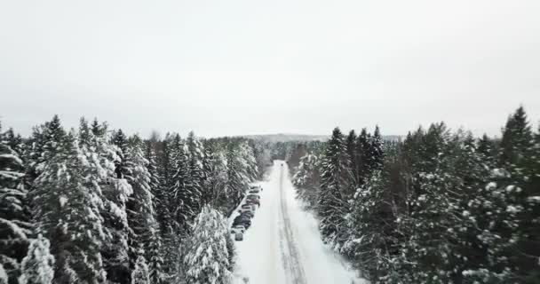 Voler au-dessus de la forêt recouvert de neige 