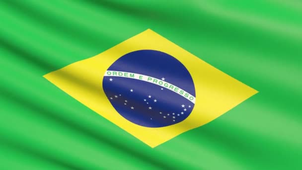 Le drapeau du Brésil. Texture de tissu très détaillée ondulée . — Video