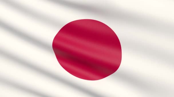 De vlag van Japan. Zeer gedetailleerde stof textuur zwaaide. — Stockvideo