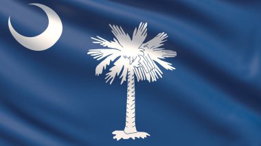Devlet Güney Carolina bayrak. ABD Devletleri bayrakları.