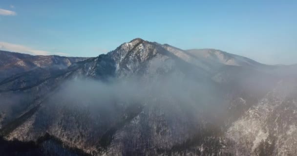 La nebbia cremosa copriva le montagne con la luce del mattino. Scena pittoresca e splendida . — Video Stock