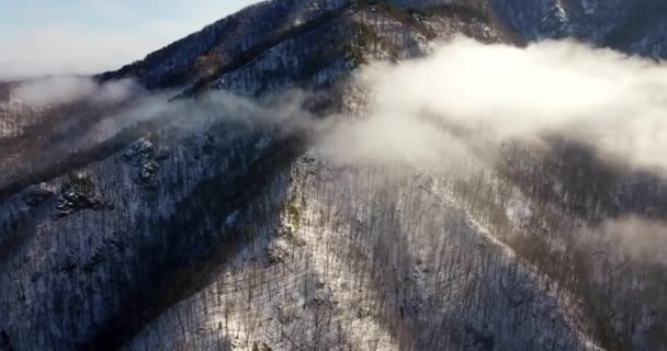 Вершковий туман вкривав гори ранковим світлом. Мальовнича і розкішна сцена . — стокове відео