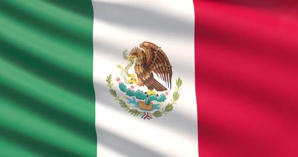 Vlajka Mexika. Zamával vysoce detailní textilie textura. — Stock video