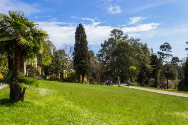 Rusya, Soçi, şehir parkı Dendrarium, Arboretum toprakları .
