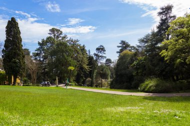 Rusya, Soçi, şehir parkı Dendrarium, Arboretum toprakları .