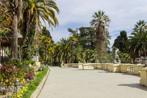 Rusya, Soçi, şehir parkı Dendrarium, Arboretum toprakları .