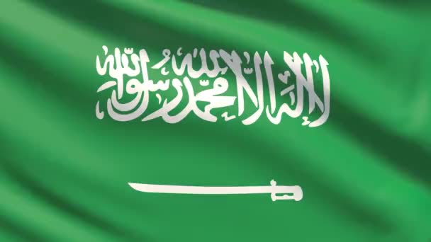 La bandera de Arabia Saudita. Textura de tela ondulada altamente detallada . — Vídeos de Stock