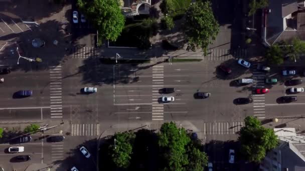 Drones Eye View - Vista aérea de la intersección vehicular, volar bajo los árboles . — Vídeo de stock