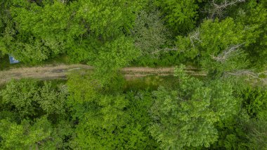 Drones Eye View - yaprak ağaçları arasındaki yolun yukarıdan aşağıya görünümü, Kafkasya, Rusya.