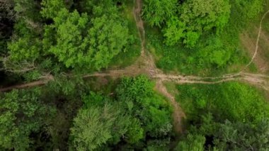 Drones Göz Görünümü - 4k anten yukarıdan aşağıya orman gizemli orman yolu görünümü