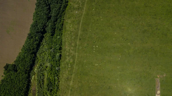 Paisaje verde con bosque y pradera - vista aérea de arriba hacia abajo — Foto de Stock