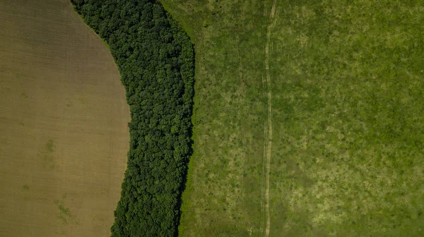 Paesaggio verde con foresta e prato - vista aerea dall'alto verso il basso — Foto Stock