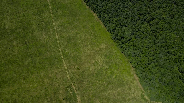 Paisaje verde con bosque y pradera - vista aérea de arriba hacia abajo — Foto de Stock