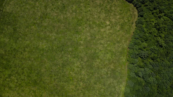 Groen landschap met bos en meadowv-top down luchtfoto — Stockfoto