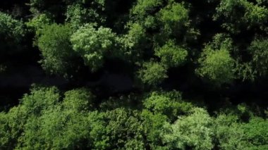 Havadan yoğun büyüyen ağaçların üzerinde sinek, arasında sakin bir nehir akar