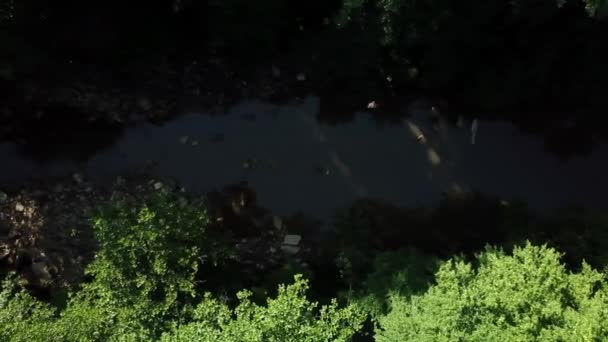 Vista de olhos de aves de árvores densamente crescentes, entre as quais um rio calmo flui — Vídeo de Stock