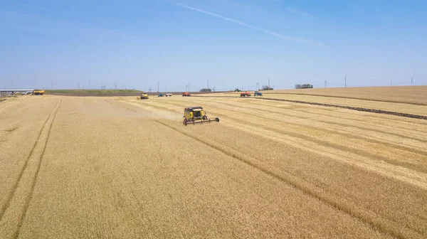 Vista aérea de combinar el trabajo en un campo de trigo — Foto de Stock