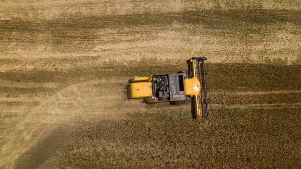 Vista aérea de la cosechadora trabajando en el campo de trigo grande — Foto de Stock