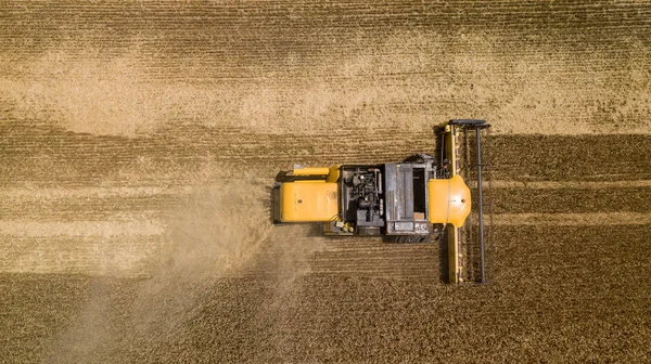 Vista de arriba hacia abajo de la cosechadora trabajando en el campo de trigo grande — Foto de Stock