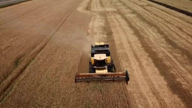 Altın alanlar görüntülerini robot ve hasat birleştirmek