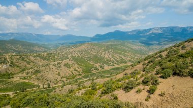 Kırım manzara: dağın ovalarında üzüm bağları havadan görünümü. Kırım üzüm bağları.
