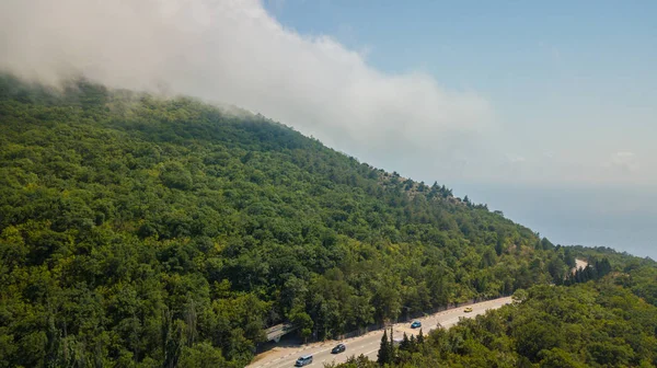 Красота природный ландшафт Крым с лесом на деревьях, дороги, горизонтальное фото — стоковое фото