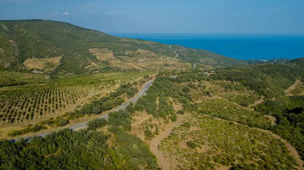 クリミアの道路:夏の日の湾曲した山道の航空写真 — ストック写真