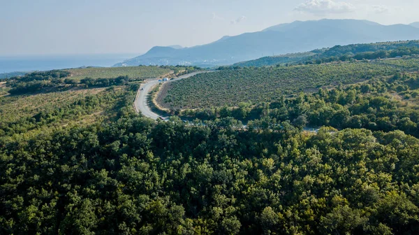 クリミアの道路:夏の日の湾曲した山道の航空写真 — ストック写真